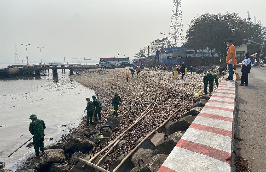 바닷가에서 사람들이 쓰레기를 치우고 있다.